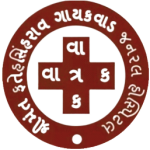 vatrak logo-fotor-bg-remover-20240624181339